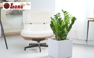 6 Loại Chậu Cây Trong Nhà Dễ Trồng - Giúp Thu Hút Tài Lộc